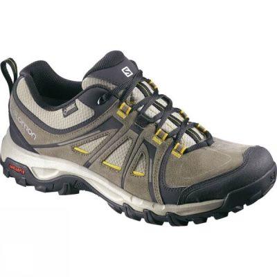 Zapatos Salomon Evasion GTX Hombre Marrones / Gris - Chile FMU932087